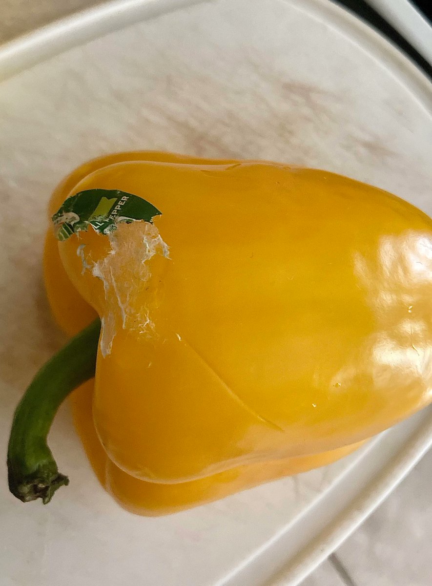 Mildly infuriating pics tweet media