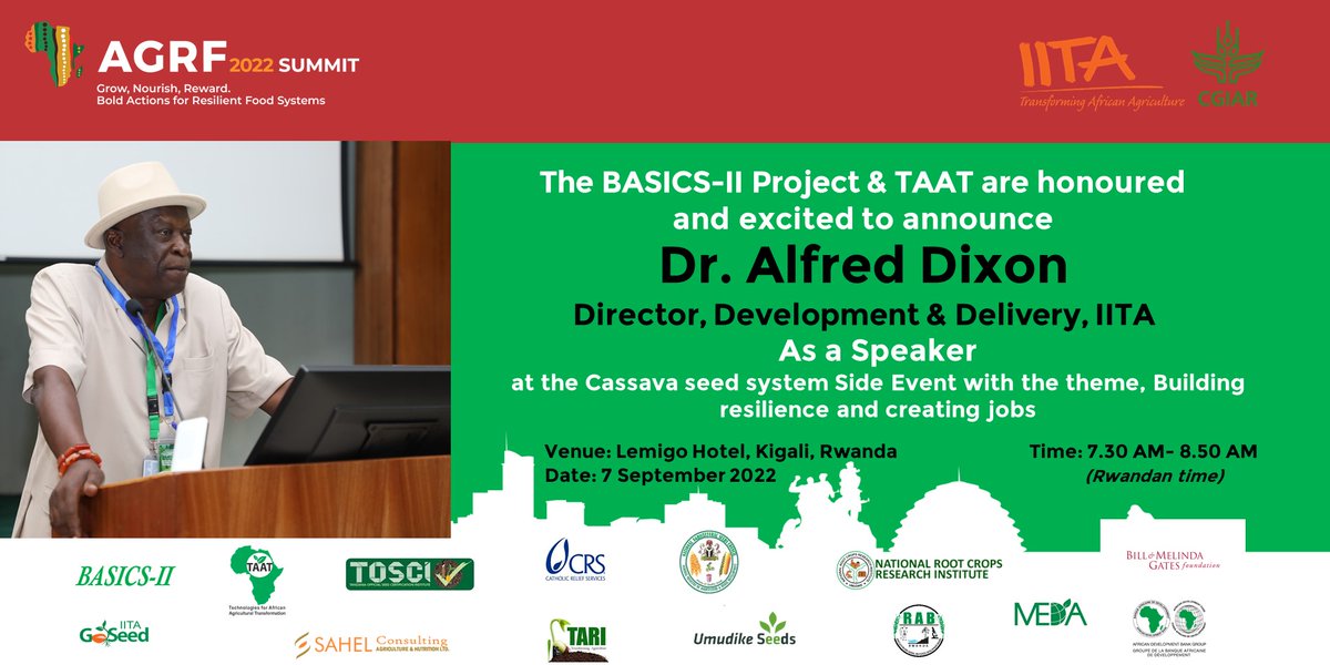 GodwinAtser's tweet photo. IITA Director, Dr. Alfred Dixon will be speaking at the #BASICS2/ #TAAT #Cassava #Seed #System Side Event at the #AGRF2022 in #Kigali. #Dixon is global figure in cassava #breeding. https://t.co/ZP5vh2W8c8