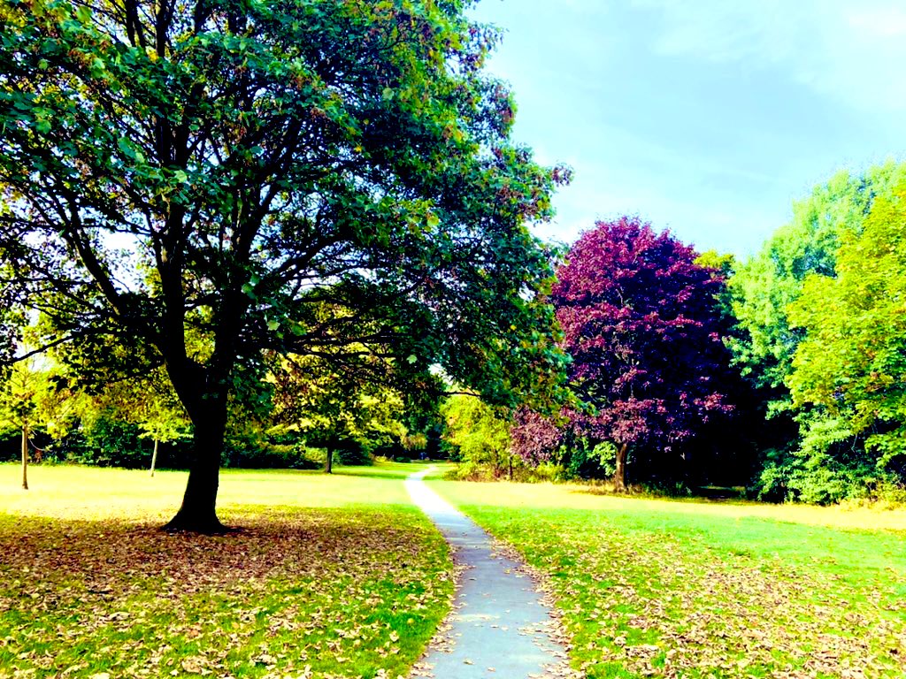 RavyGabrria's tweet photo. Last weekend #BSOLActive #WeActiveChallenge gym💪 walking 🚶♀️Enjoyed last 4 weeks, thanks to colleagues for motivation & sharing activities👏🏾 & thanks to our fab comms team🫶🏾@BSol_ICS @JamesTomms @scottishstew @dameyveb @DrJV75 @TennantRuth @AnthMayComms @BSol_CMO @NagraMandy https://t.co/fDYX2ukDjh