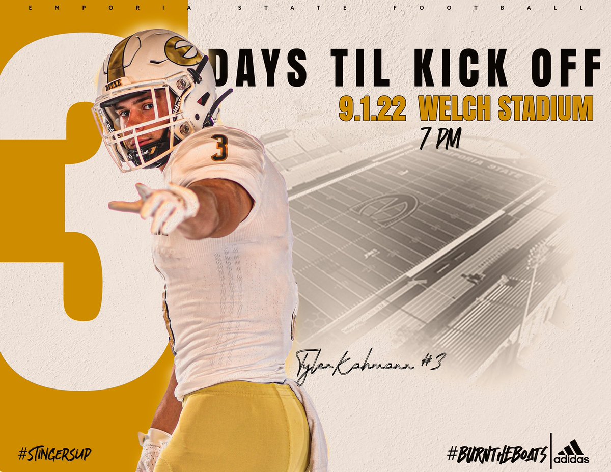 3️⃣ DAYS ⏰😎 
#StingersUp 🐝