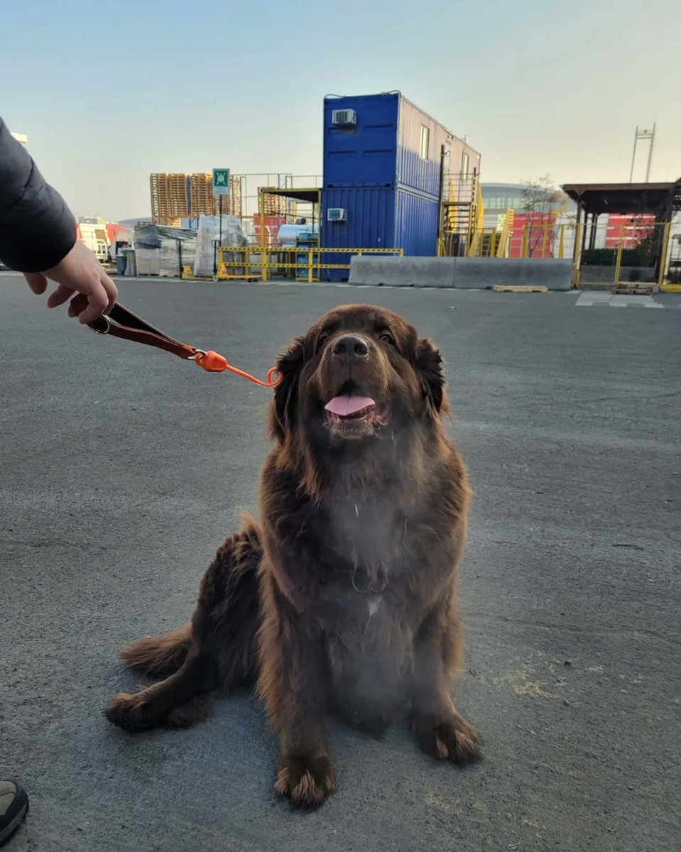 Controlc_chile's tweet image. Seguimos preparándonos de la mejor forma posible para nuestra nueva temporada, optimizando el trabajo logístico en nuestros embarques día a día #aeropuerto #carga #exportación #chile🇨🇱 #scl