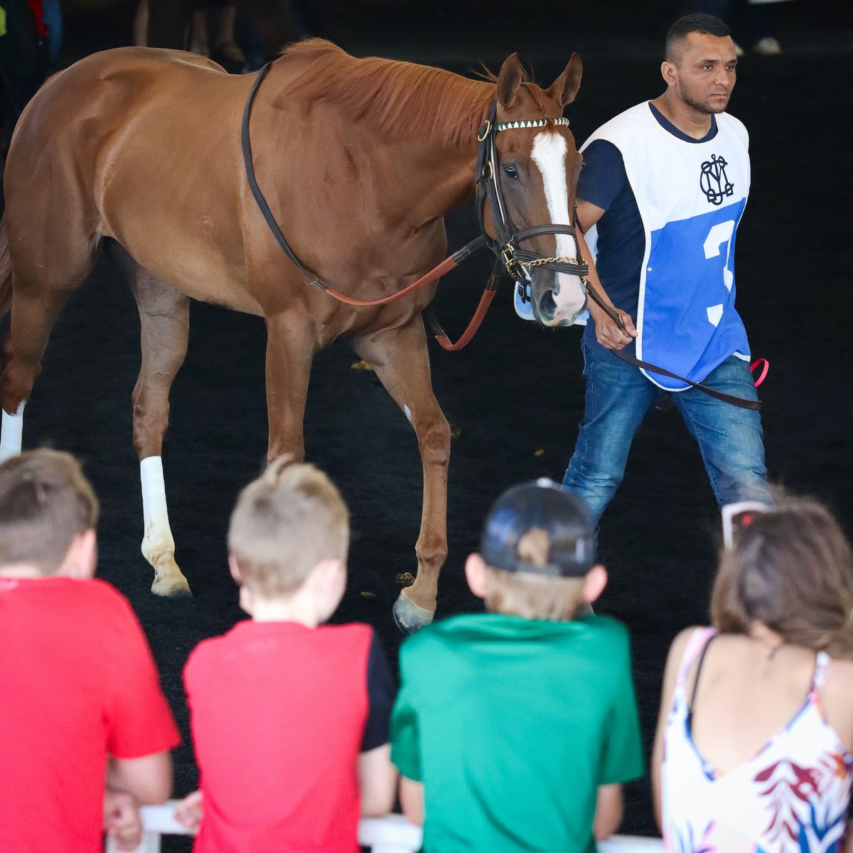 LaurelPark's tweet image. Do you remember the first race you watched at #LaurelPark?