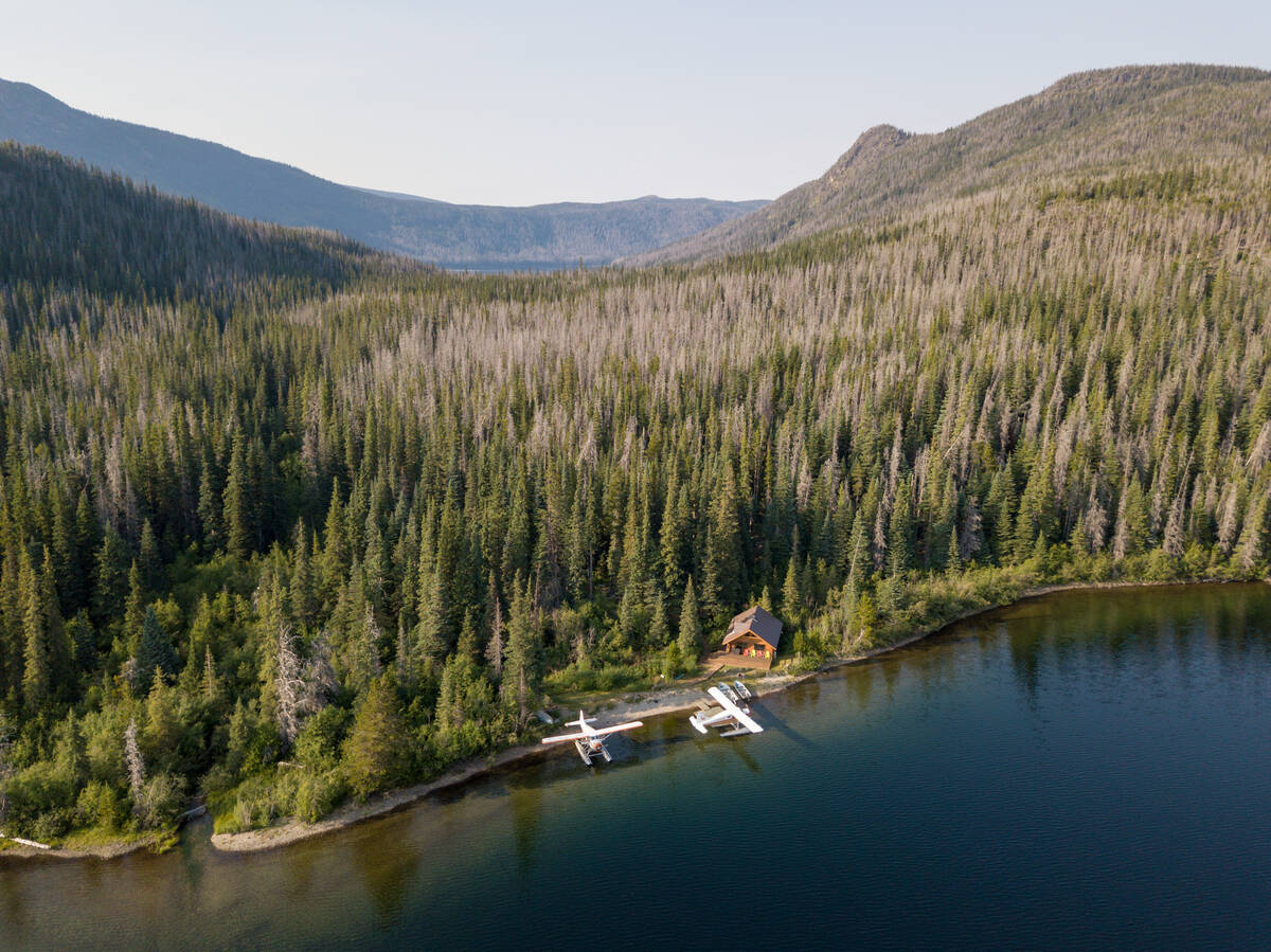 DestinationBC's tweet photo. Community #projects are underway to enhance #forest resilience to protect against the effects of wildfire & climate change in northern BC (https://t.co/hfpjj10koe) & the Cariboo (https://t.co/p2w49JgRYa). #forestrecreation #ecologicalresiliency #climatechange #sustainability https://t.co/djjfPW775F