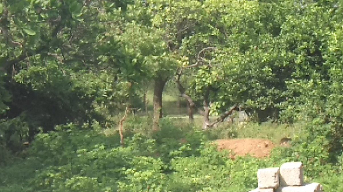 ALI Reporter tweet media