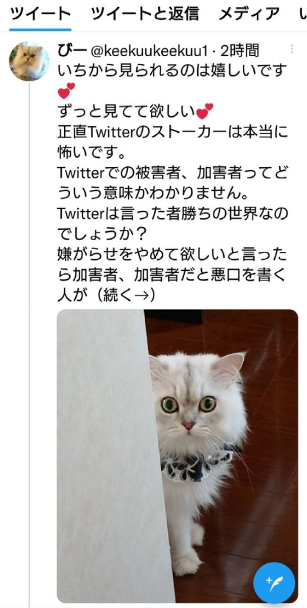 sionrose15's tweet photo. 誹謗中傷を受けたという言葉を嫌がらせの道具として使う人もいます。私は相手に誹謗中傷され謝罪された側なのでを事実をそのまま書いていますが、嫌がらせにあったと嘘を拡散している人も います。私たちは嫌がらせをやめてほしいなど一度も言われていません！#拡散希望 #拡散希望RT協力お願いします https://t.co/7010BskDDN