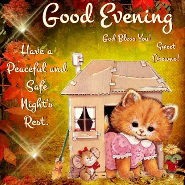 VolschenkGerna's tweet photo. #Goodevening to all my friends across the world🌍Have a #Peaceful and #Safenight #Takecare #Staysafe #StayHealthy God bless you🙏Love you all❤ #Sleepwell #Sweetdreams 🌆💚💐🙏🙏💕🌹💖👫💙😎🎸💛🌷👭🕊😇❤⭐💜🌻🌛💞⭐🌃 https://t.co/vhy7gJjgA4