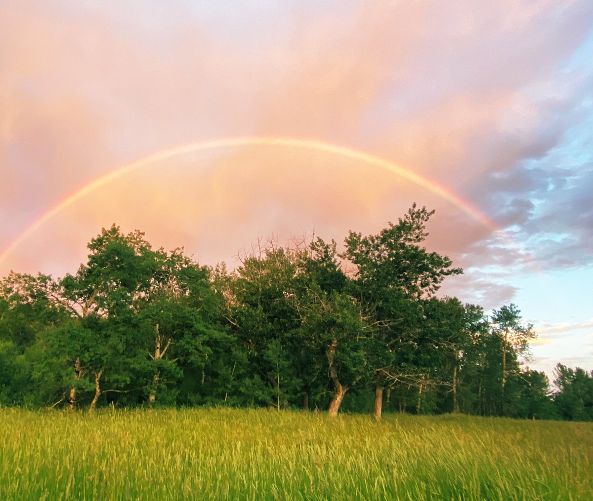 BATTinks's tweet photo. #HappyMonday to all you fine folks!!!π
Hereβs a #rainbow over the #ranch to help keep those #spirits high and get the week started right!!#batt #mattbanning #yolo #liveyourbestlife #motivation #positivevibes #succes #forgammo #artistsoninstagram #montana
#trees #nature #sky https://t.co/C2VnEQEir0