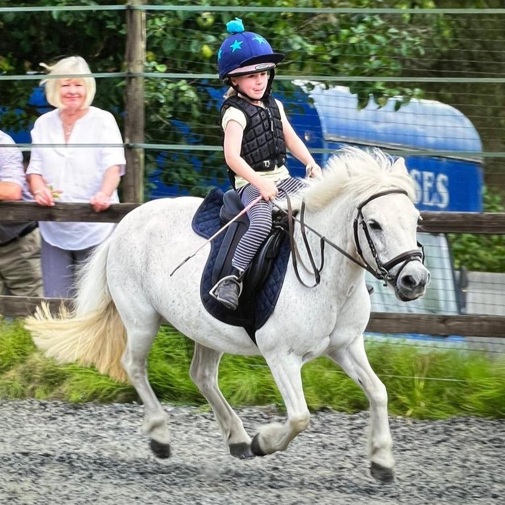 k_woollacott's tweet photo. #SmallTrainer enjoyed putting on a display for our owners yesterday! She’s grown into a super little rider ❤️ #soproud #BellaAndBonnie https://t.co/d0ngKrIjlX