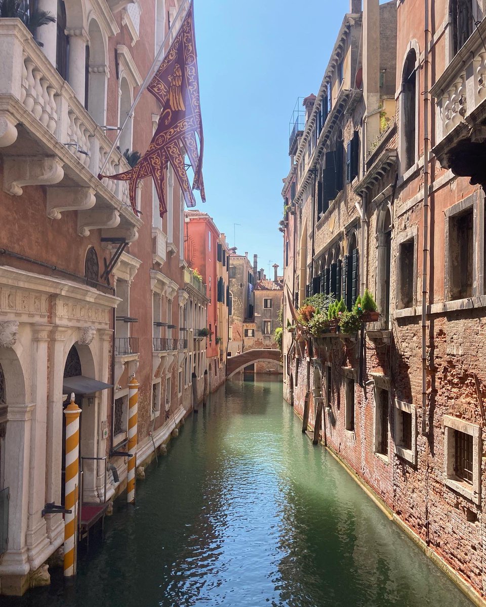 Ndfitzpatrick01's tweet photo. The best kind of before and after photos 🥰😁💍
#engaged #imengaged #venice #proposal #holiday https://t.co/expHkQQpYK