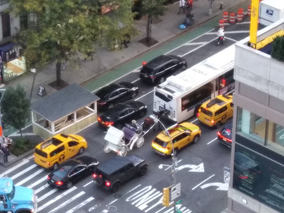 Matt_Dominguez's tweet photo. Tell me again how horses belong on our streets? @NYCSpeakerAdams #banhorsecarriages https://t.co/8TwO7uUtMf