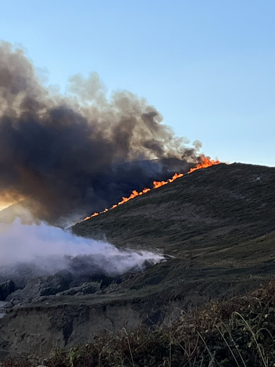 Jan_writes's tweet photo. RT @RobJoulesND: Devastating scenes as fire is raging #baggypoint at the moment. Such a special place for people and wildlife. Fire crews and police on-site please stay away @NorthDevonNT https://t.co/eJUdrj3K5d
😢