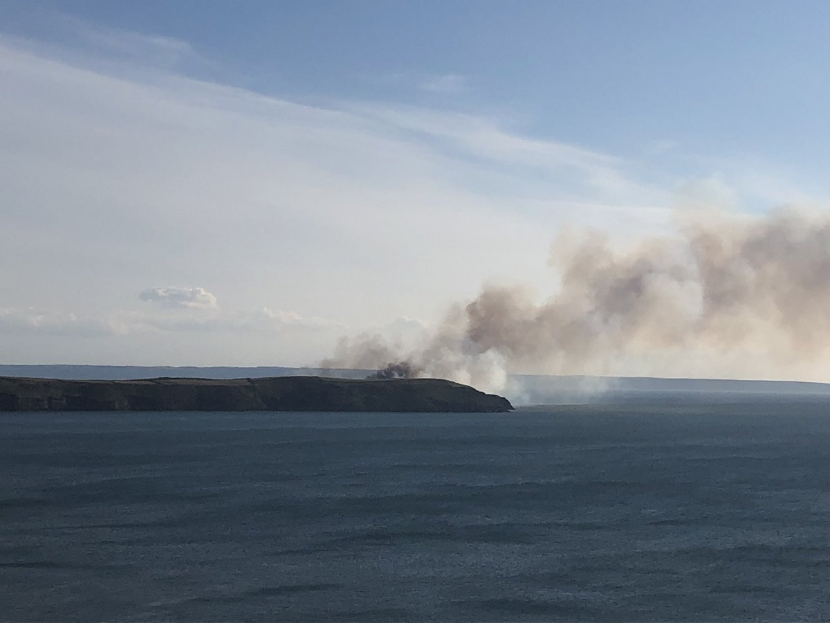 Jan_writes's tweet photo. RT @RobJoulesND: Devastating scenes as fire is raging #baggypoint at the moment. Such a special place for people and wildlife. Fire crews and police on-site please stay away @NorthDevonNT https://t.co/eJUdrj3K5d
😢