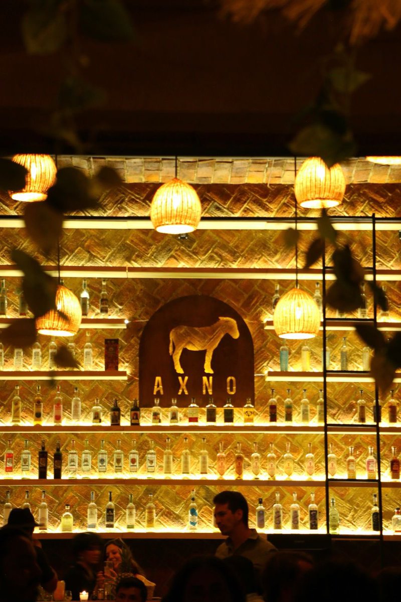 SantiFdzt's tweet photo. Gente de GDL abrí un bar en el centro de Zapopan y estamos buscando meseros y hostess.
Martes a Sábado 7pm a 1am 
Domingos de 7pm a 12pm  

$7,000 + propinas 

NADIE se regresa solx a su casa se tiene transporte para personal 

MANDA DM SI TE INTERESA https://t.co/T70nfzZ7mL