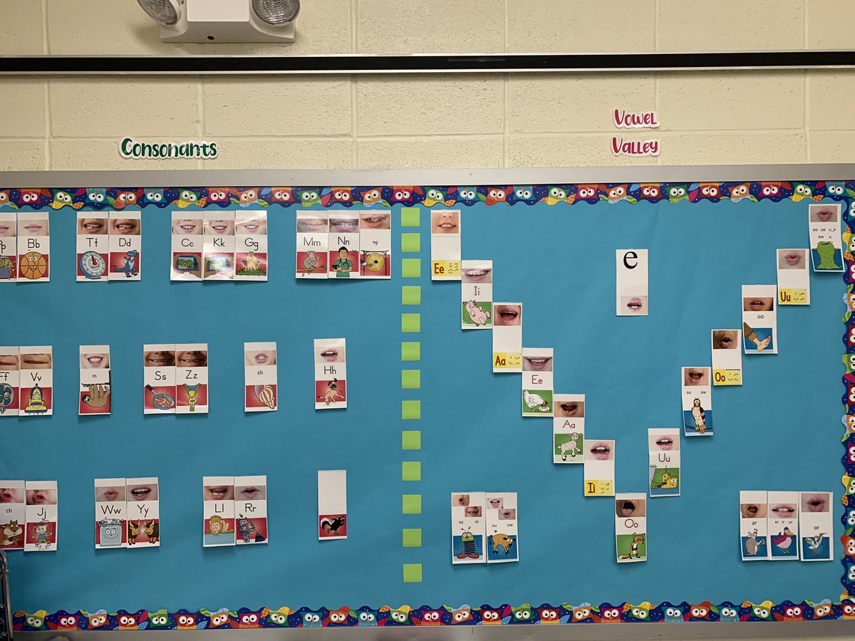 Michelle Miller tweet media