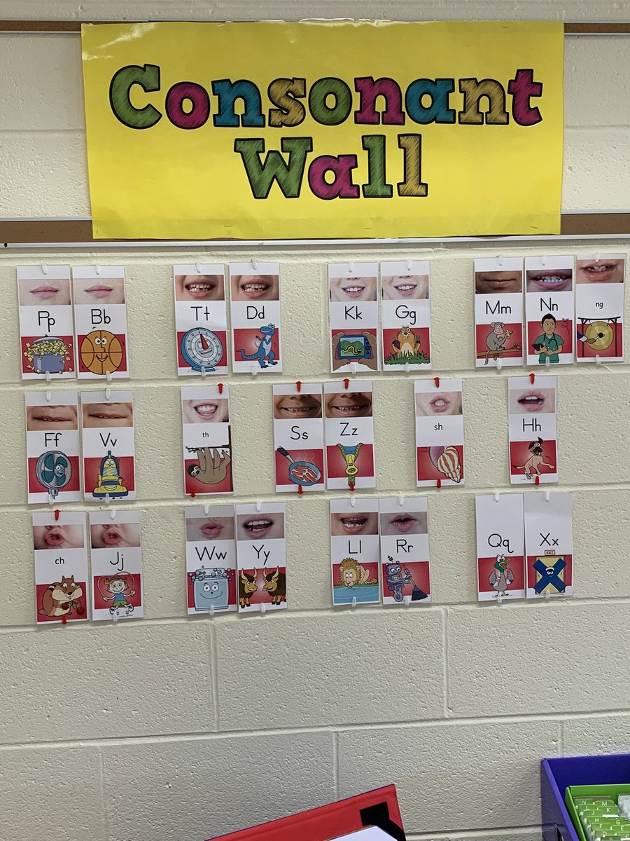 Michelle Miller tweet media