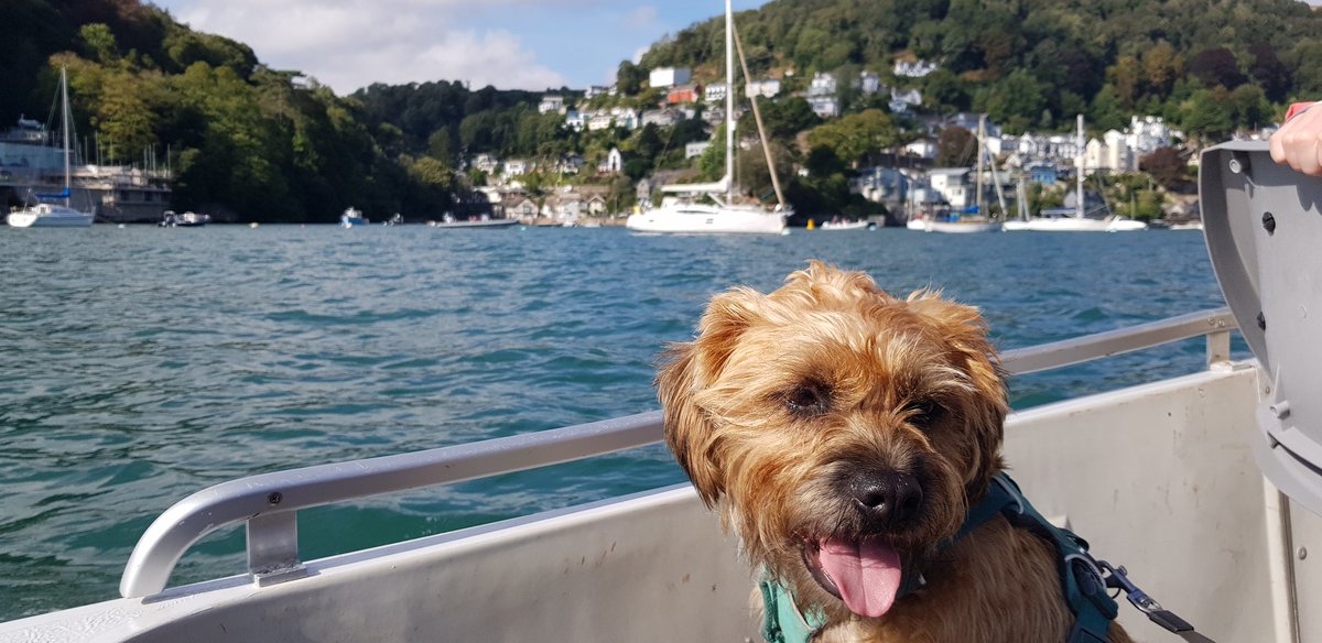 BtGryff's tweet photo. Rename me Captain Gryff 🏴‍☠️ for I am a salty sea dog and rather uncharacteristically content whilst on a boat! 🐕🛥⭐ https://t.co/5RBMPJCW9T