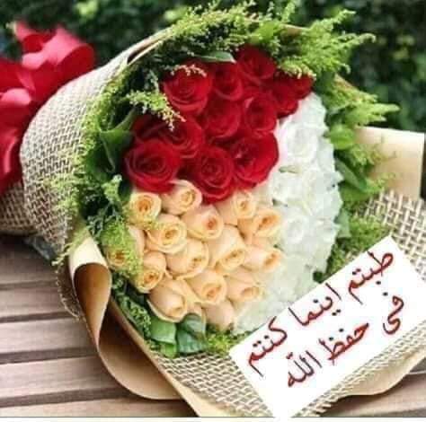 sobhey_amer's tweet photo. لا تـــحــــزن ولا تراقب تصرفات الناس فإنهم لا يملكون ضراً ولا نفعاً  ولا موتاً ولا حياةً ولا نشوراً ولا ثواباً ولا عقاباً  وقديماً قيل : 
من راقب الناس مات همَّاً https://t.co/G5RLUnHUuX