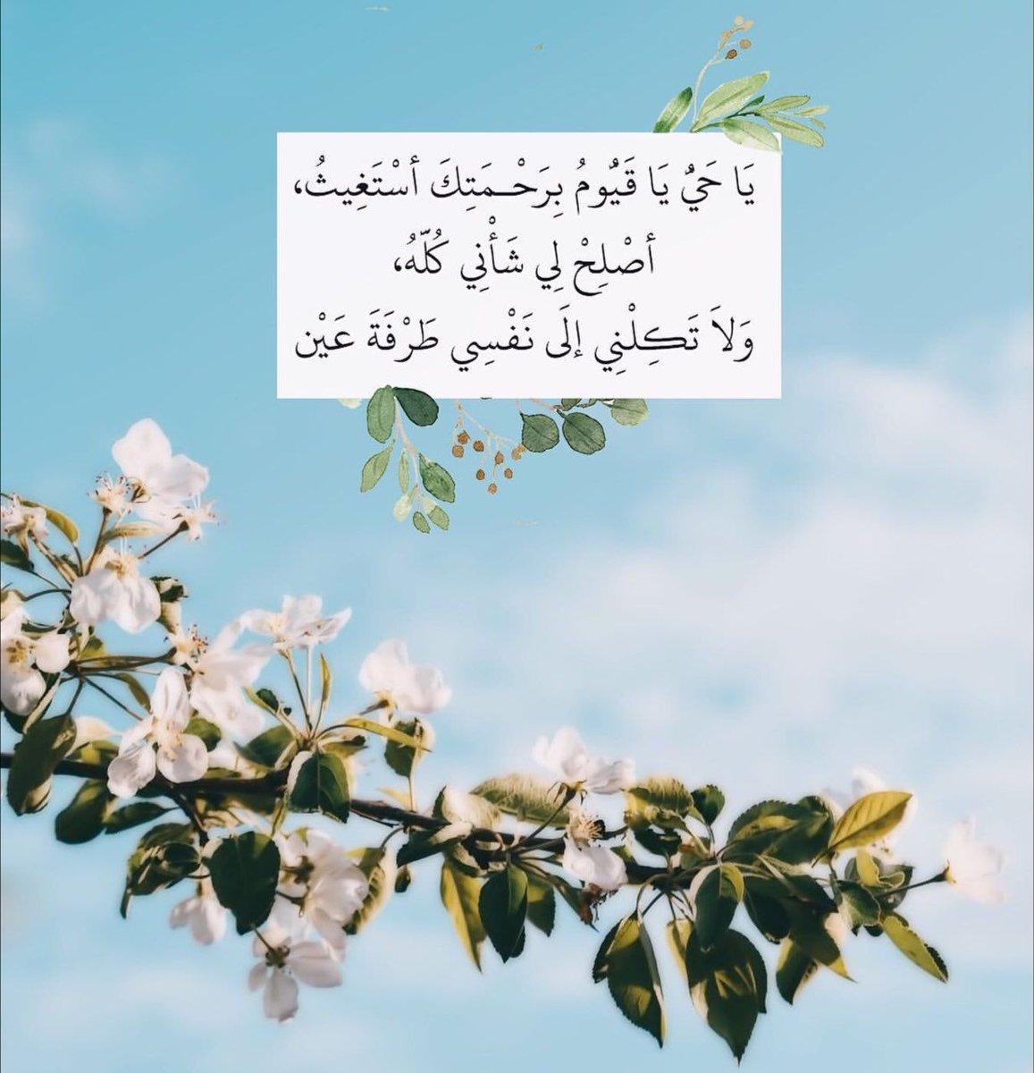 ZainabAlsaady6's tweet photo. #توسعه_مقاعد_الدراسات 68 https://t.co/XGXaWqLGyq