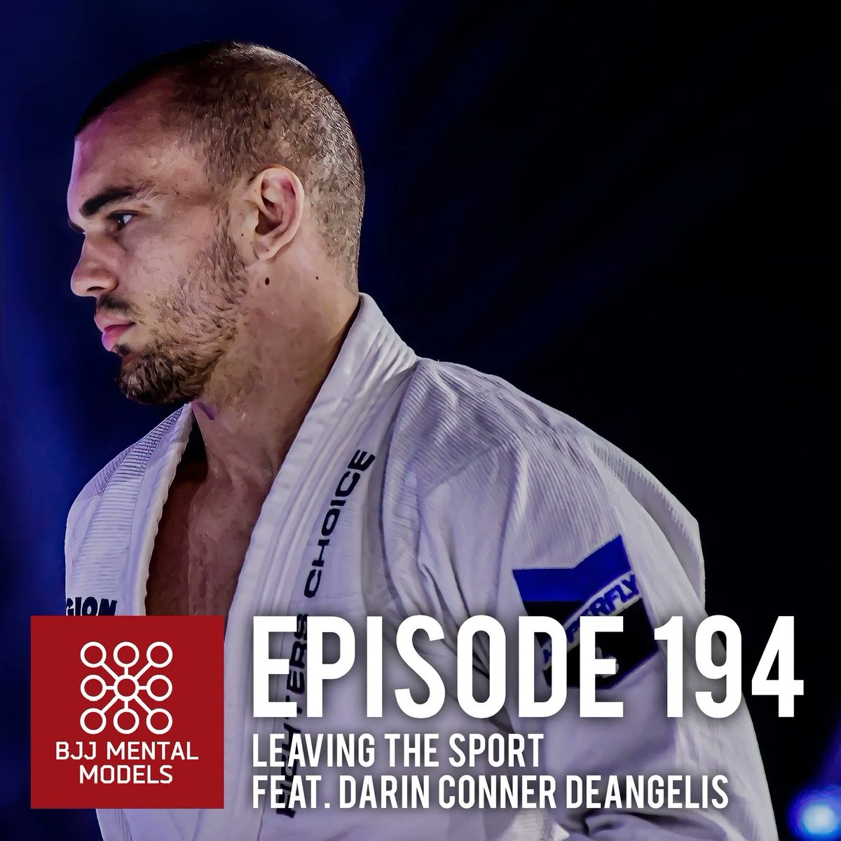 BJJ Mental Models tweet media