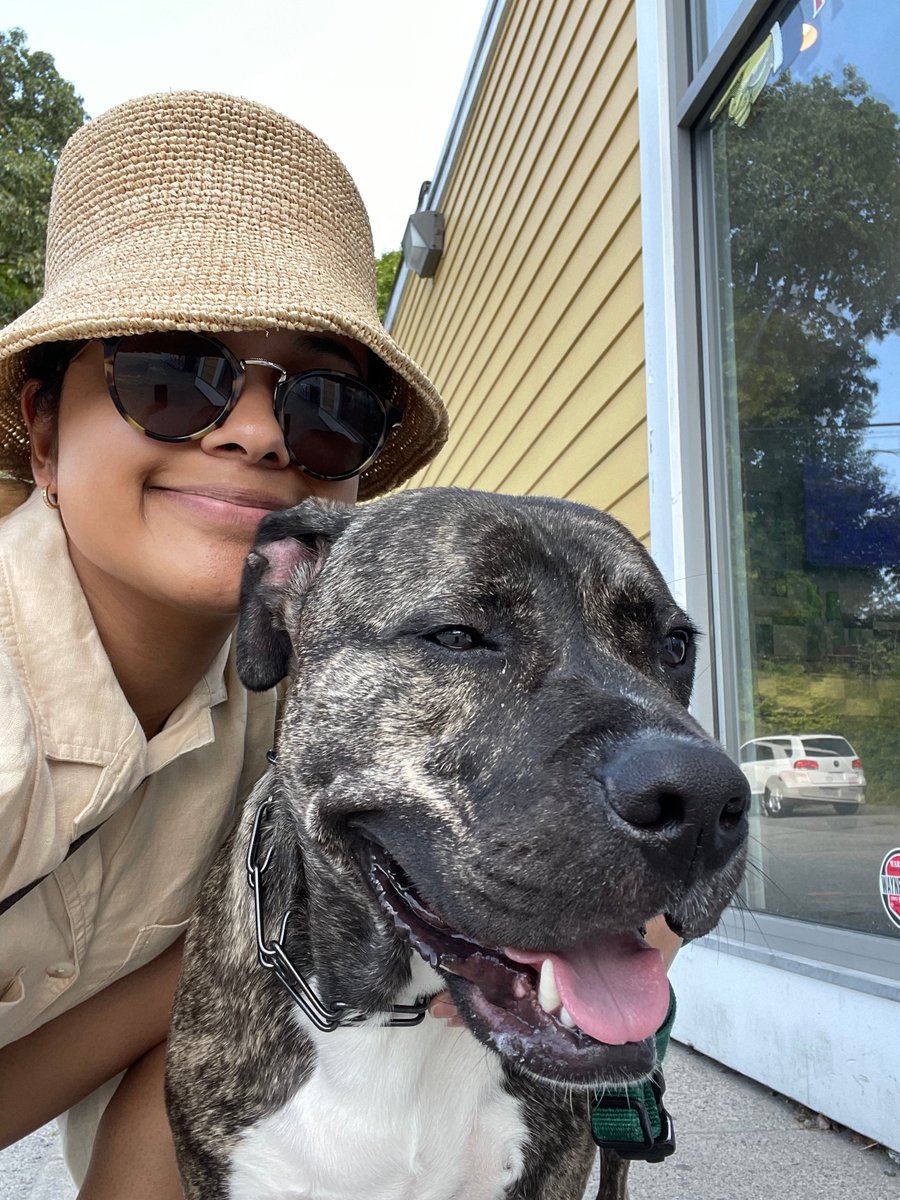 BLSundaresh's tweet photo. @dog_rates @Trupanion We are constantly reminded of Neo's loving nature and playfulness. We couldn't ask for a better dog. #pibble https://t.co/lickUZbu67