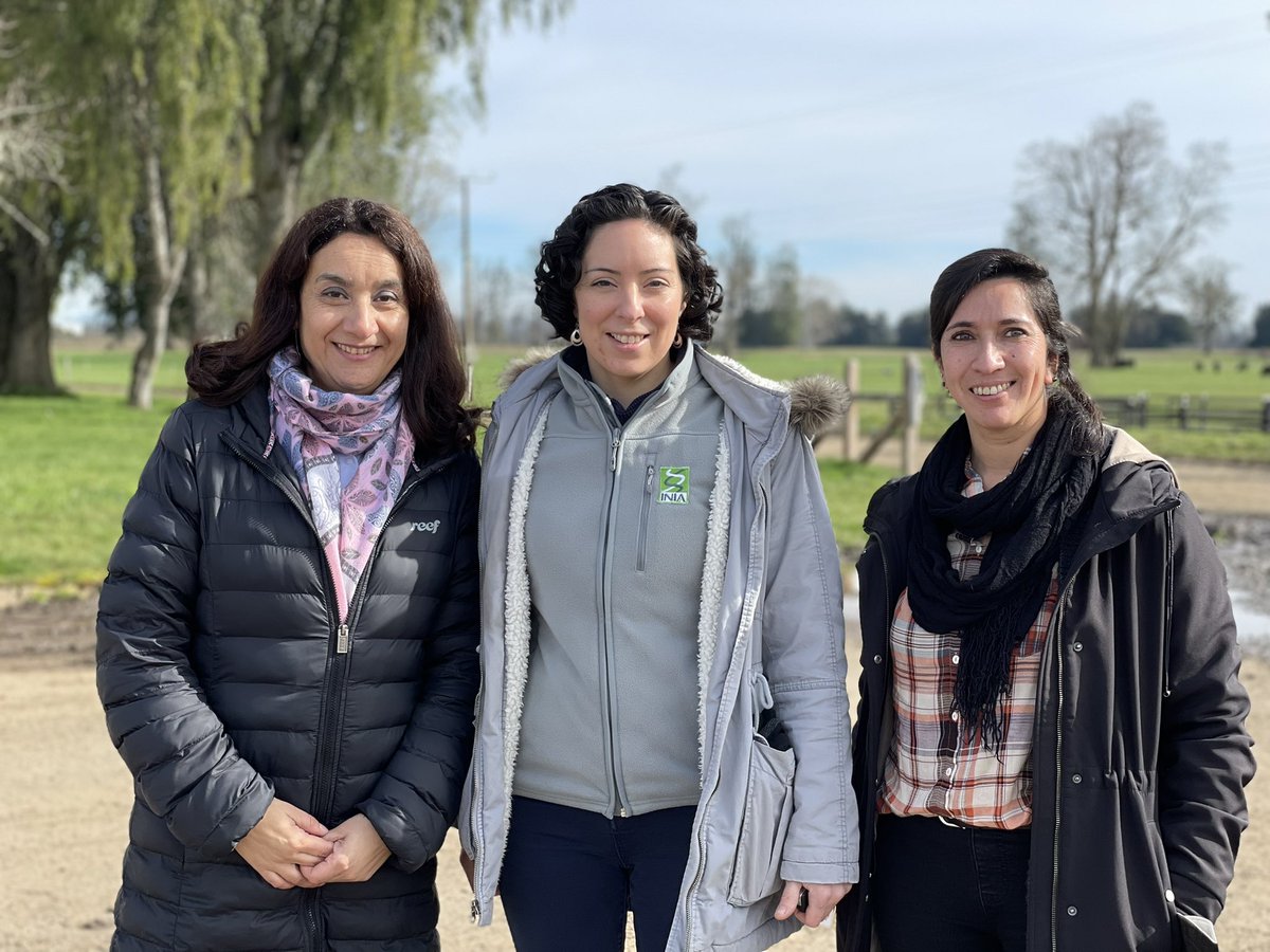 inia_remehue's tweet image. La Directora Nacional de @iniachile visitó hoy INIA La Pampa para anunciar que este año en este centro de producción de semillas se van a plantar 25 ha de papa y 150 ha de cereales, que junto al núcleo genético Angus, son importantes aportes a la Seguridad y Soberanía Alimentaria