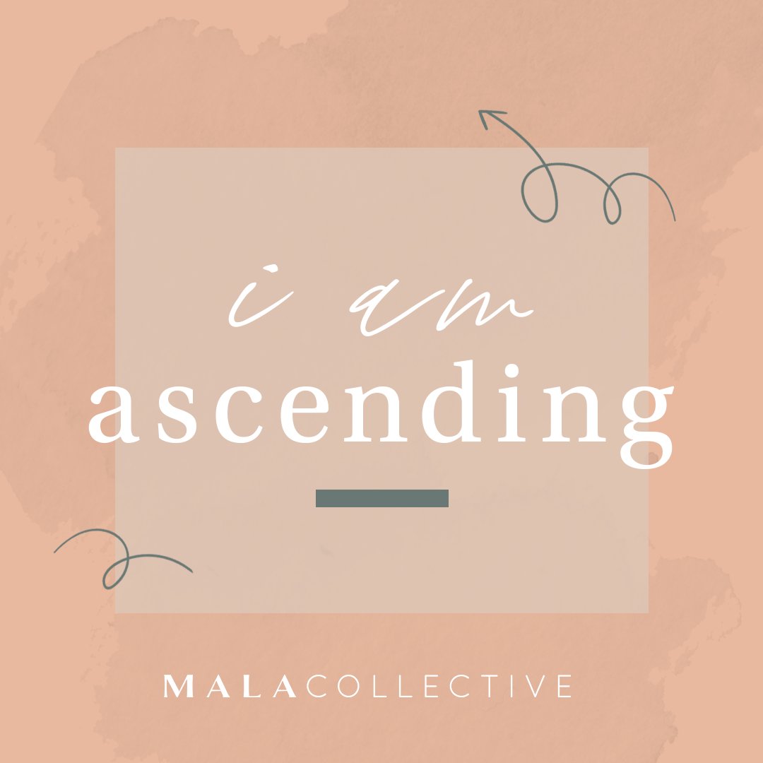 Mala Collective tweet media