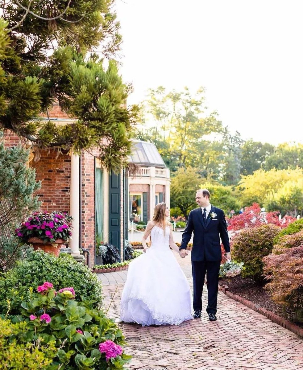 The Manor tweet media