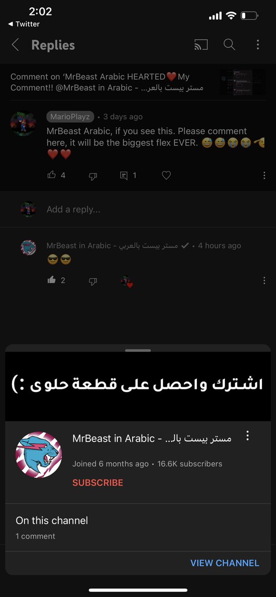 RealMarioisMLG tweet media