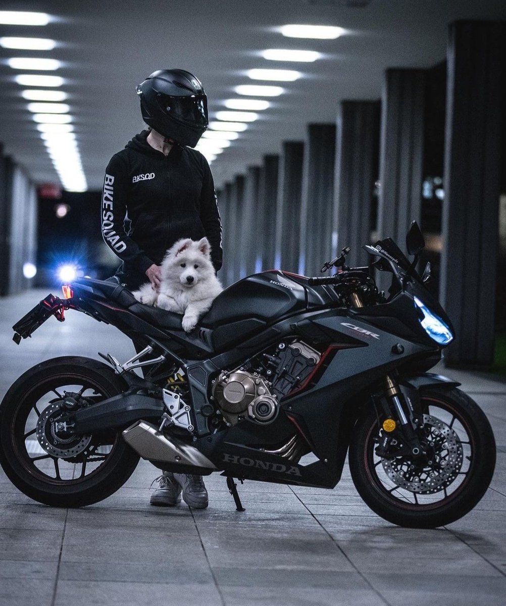 If you can see with your eyes closed, you will understand @Ryoshis_Vision 
I bought Ryoshi with my eyes closed
<a href="/Ryoshis_Wifey/">Wifey</a>