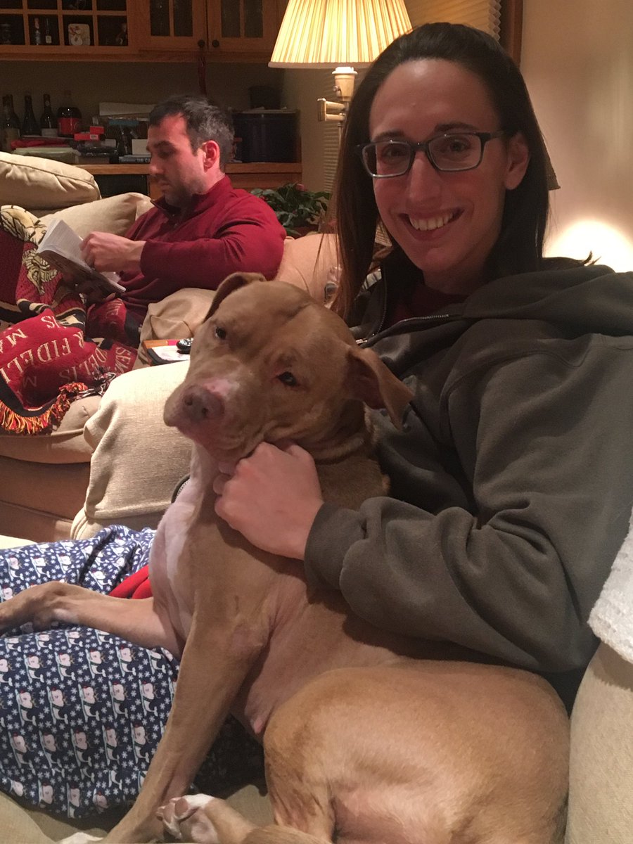 megndale7's tweet photo. @dog_rates @Trupanion We get to enjoy pittie smiles and snuggles from my brother’s pit bull, Momma Bear! 🤍 https://t.co/4gbEPam2i3