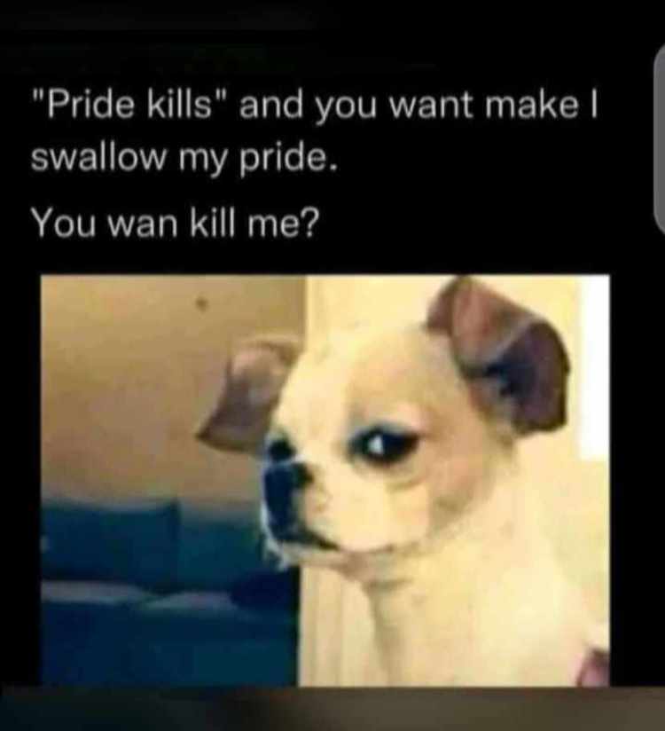 Onumcent's tweet photo. @drpenking #Tinubu https://t.co/ffC5otoZmT
