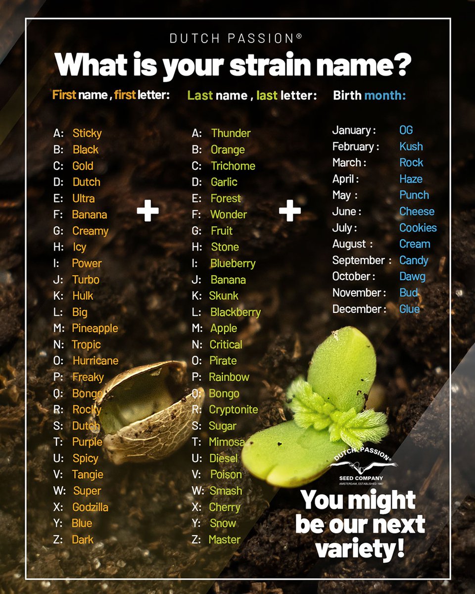 DutchPassion_'s tweet photo. You might be our next variety! 😉🌿⁠

What is your strain name (based on this graph)?⁠

#namegenerator #strainname #whatisyourname #dutchpassion #dutchpassionseedcompany #cannabisstrains https://t.co/xBOta4XeUh