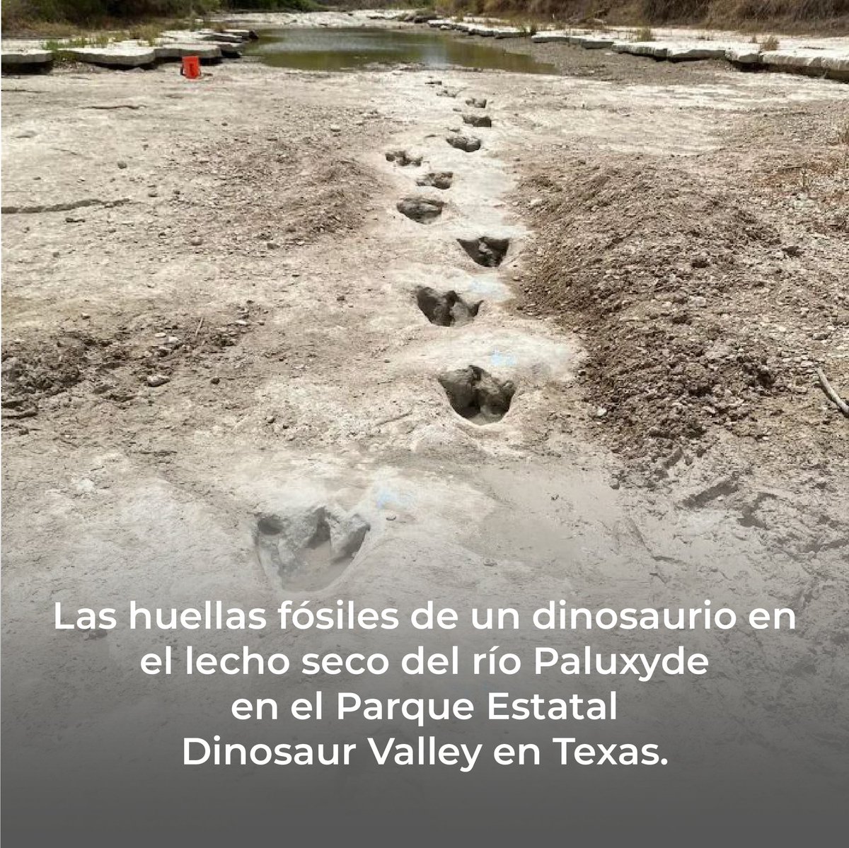 greenhugmx's tweet photo. Es momento de hacer algo 😰
Cada vez es más evidente que el #cambioclimático nos está afectando. Cada acción suma, por mínima que sea. 
#Thinkgreen  #sequia https://t.co/10mUbojcoO