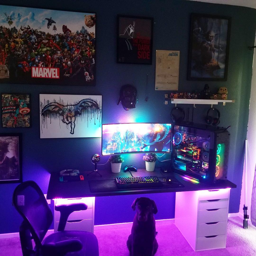 Thermaltake_fr's tweet photo. Battlestation #Thermaltake View 71 TG validé ✅ #Labrador 🐶
#Thermaltake #TTPremium #View71TG #View71 #view #DIY #modding #moddingpc #watercooling #watercoolingpc #gaming #Gamingpc https://t.co/RgL4wbR7Fw