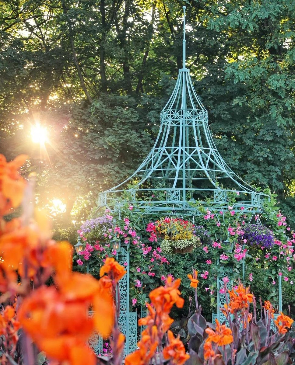 The Manor tweet media