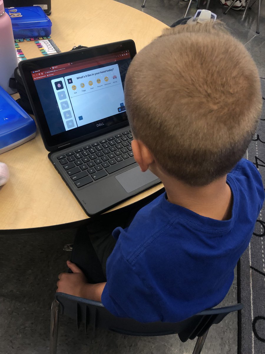 Shelby Kerner Denison tweet media