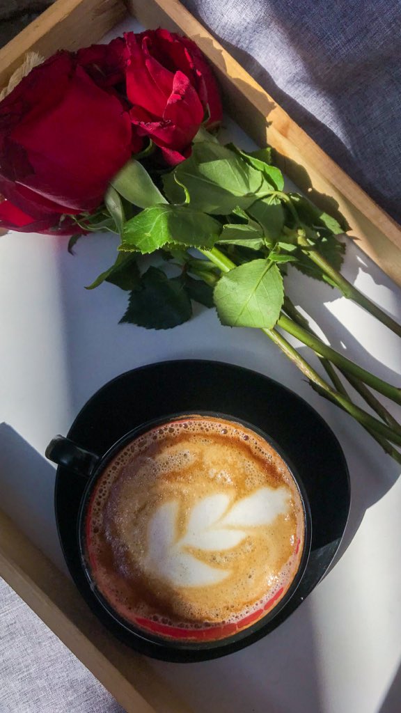aSLbDSoLuQ6rKdL's tweet photo. القهوه غيورة جداً إذا شعرت أن صاحبها دار ظهره ''فارت''☕️🌿💜

#حـڪٌايـة حٌـب https://t.co/EAsVsMRhN5