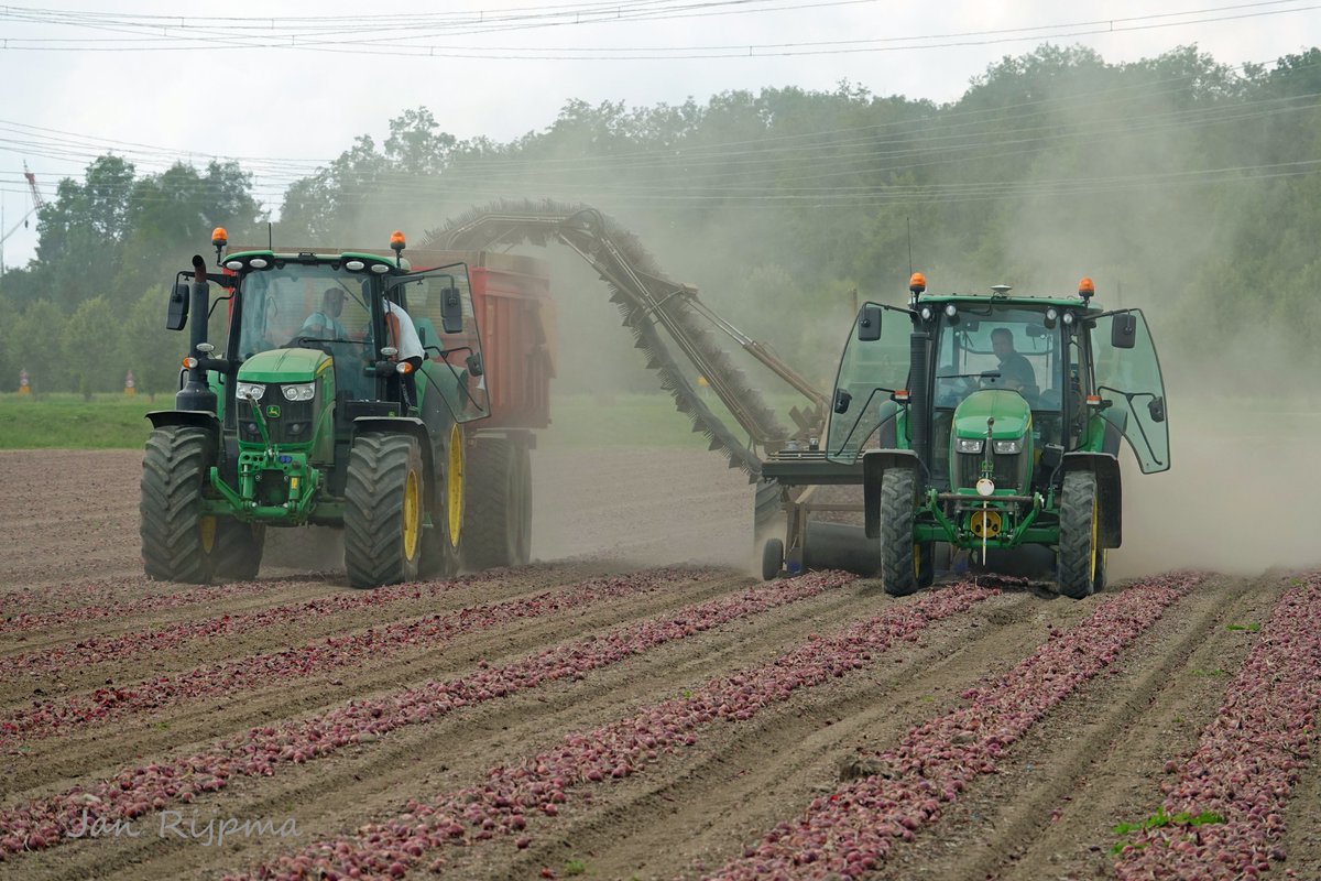 RijpmaJan's tweet image. Red Baron uien laden met een SU-Tech Dubbelzwads uienlader getrokken John Deere 5085M door Bio Boerma Zeewolde. Per vrachtwagen van Van het Goor gaan ze naar de opslag.