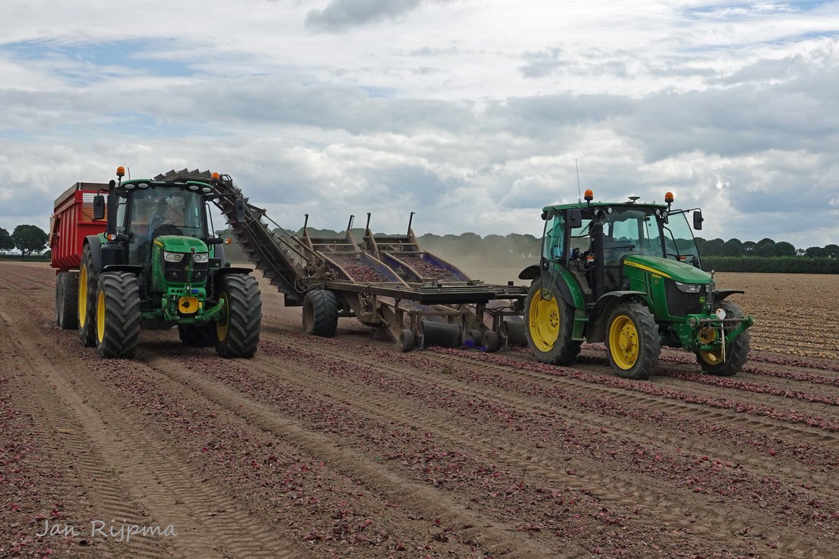 RijpmaJan's tweet image. Red Baron uien laden met een SU-Tech Dubbelzwads uienlader getrokken John Deere 5085M door Bio Boerma Zeewolde. Per vrachtwagen van Van het Goor gaan ze naar de opslag.