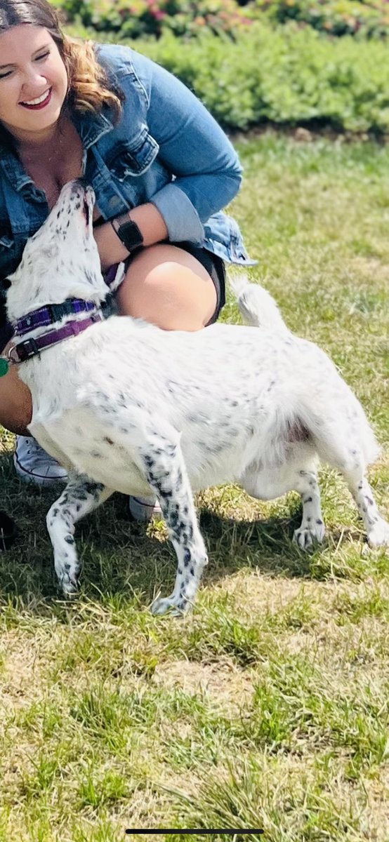 ElizabethIOlson's tweet photo. Piper does not know how to feel about starting our last year https://t.co/42mYiep6oP