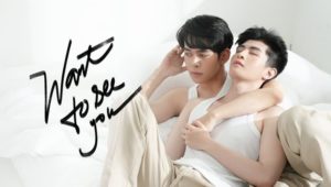 LeeFoxR's tweet photo. I just finished binge watching this Vietnamese BL called Want To See You about a blind man who falls in love with his hired helper. Together they overcome so many obstacles in their way. It is so good. #WantToSeeYou You can watch it on youtube : https://t.co/4x3OkXyhmC https://t.co/2mTSYLRzHf