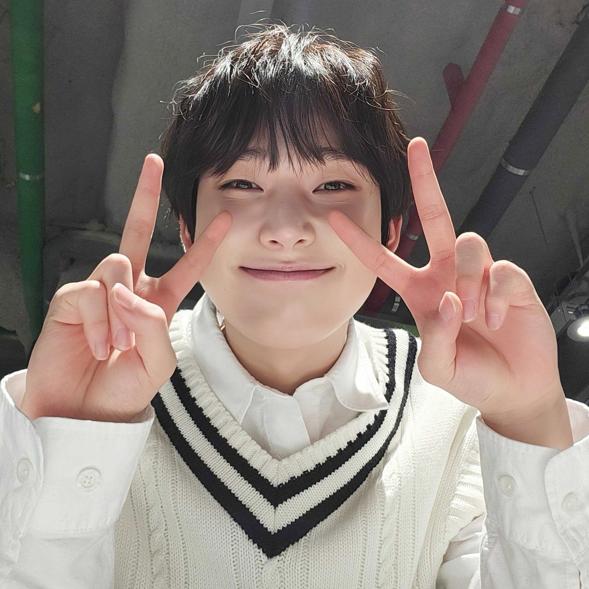 #npp volví a mi due