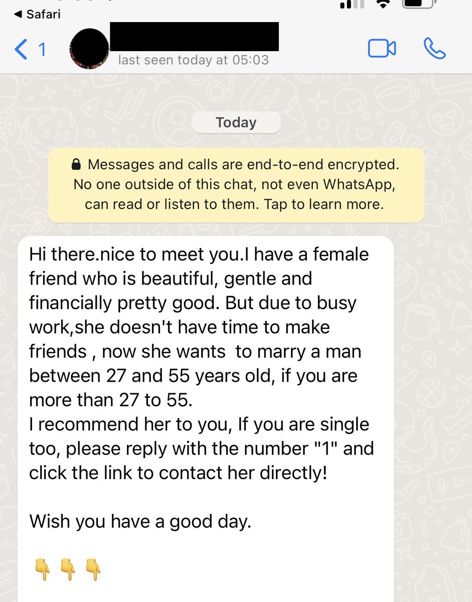 I will wonder how these different Whatsapp scammers bundle responses. Are there different lists for if you just click the he link vs reply with 1? Do they correlate these lists if you do both? If I respond saying I’m a women, what list am I placed on?