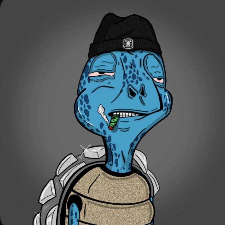 connycrypto's tweet photo. #NewProfilePic #bakedshellz π¨π¨ https://t.co/ugouuNJIR4