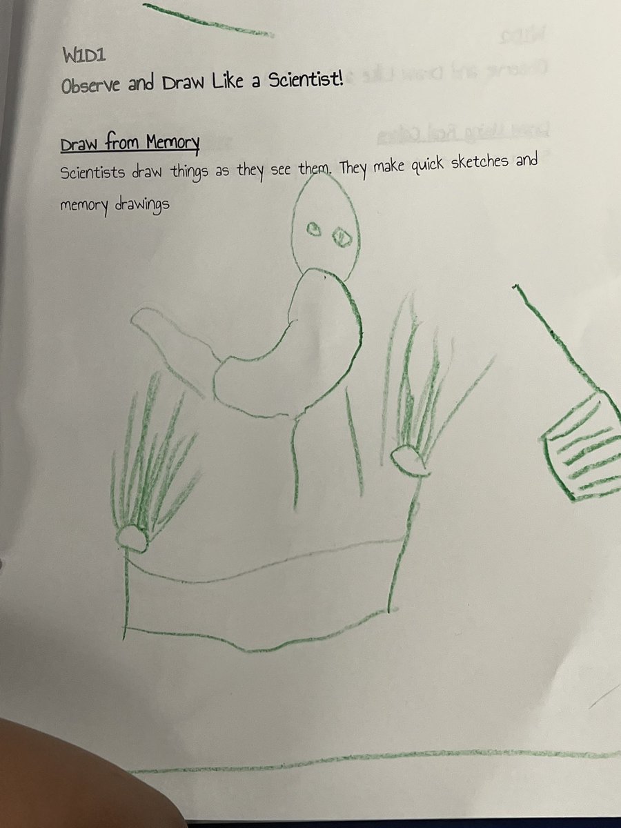 Holli_Sears's tweet photo. Scientists observe and draw what they see! Ms. Schroader and her kindergarten scientists are practicing observing and drawing accurately @NSDCarver with a dinosaur friend. @NeoshoSD https://t.co/APZLKXCNlY