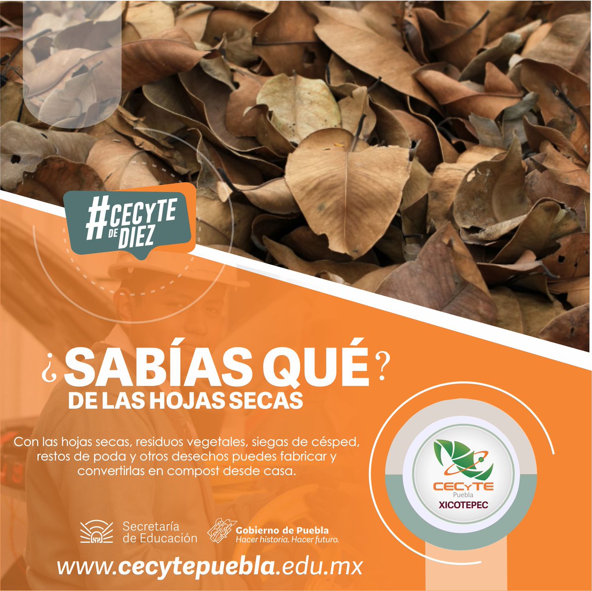 XicotepecCecyte's tweet photo. ¿Sabías Qué? las hojas secas tienen hasta dos veces más minerales que los abonos naturales? Por eso es importante que no las barras ni las tires, mejor ponlas en tu jardín o en algún área verde. #SomosCECyTE #CECyTEdeDiez https://t.co/XD0ueAnTv1