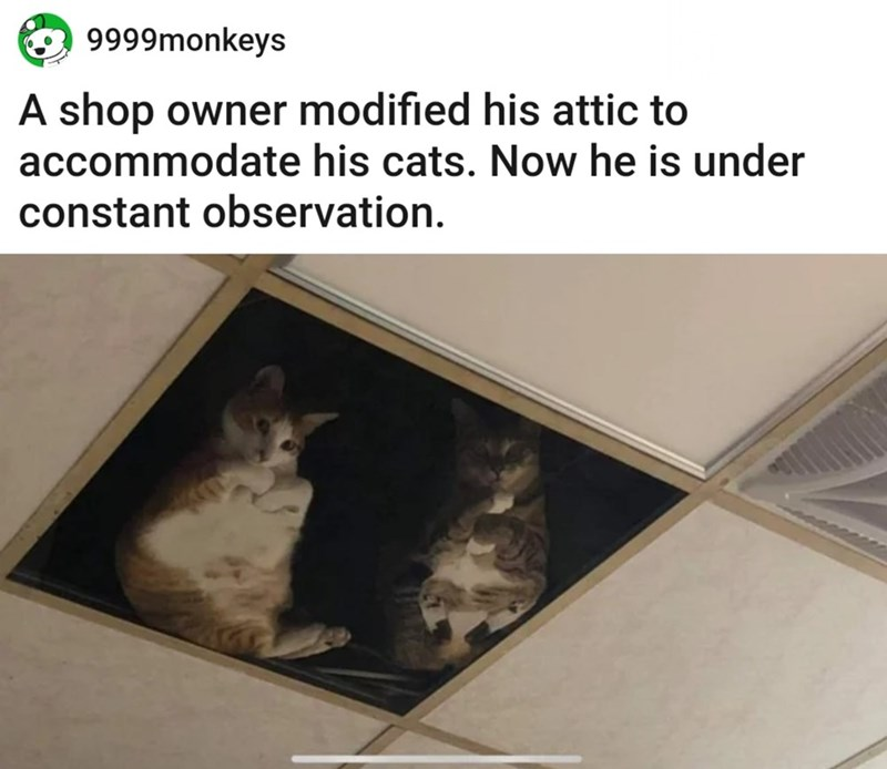 WholesomeMeme's tweet photo. https://t.co/SDy5qMFzh7