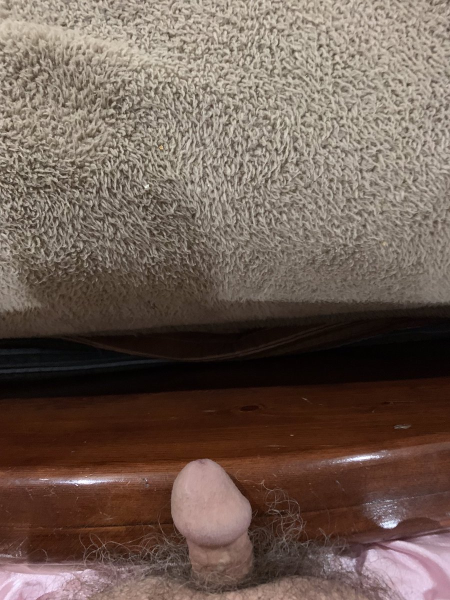 sissyprissy4eva's tweet photo. My tiny limp itty bitty clitty is too small for anything besides panties!

#sissy #crossdresser #crossdressing #femboy #crossdressing #trans #mtf #transgender #ladyboy #sissyboy #crossdress #tgirl  #lgbt #xdresser #tgirls #boytogirl #cuck #feminization #transexual https://t.co/P5OJ5XLqVT