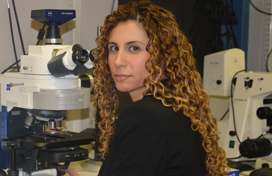 Muscle Cell News tweet media