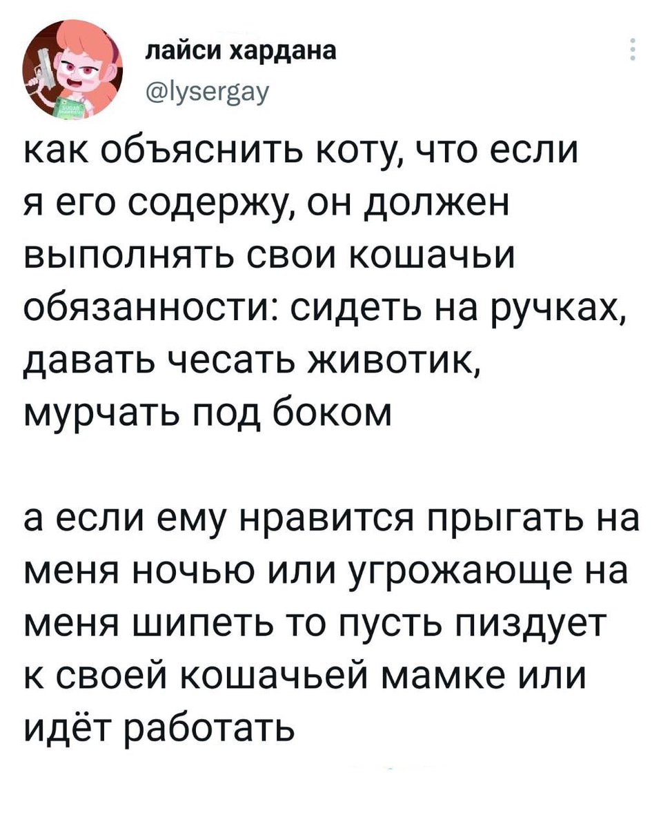 Анекдоты и приколы tweet media